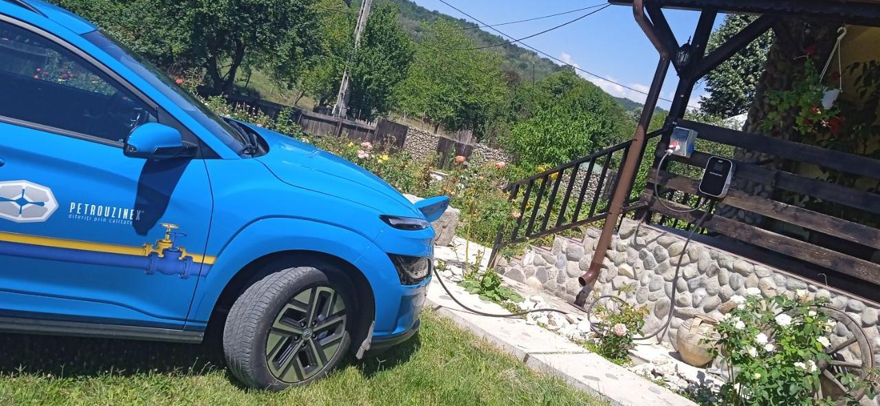 Pensiunea Gradinarilor Cu Ciubar Si Statie De Incarcare Electrica Auto Comanesti  Exterior photo